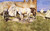 Picketed Horses, Tangier By Joseph Crawhall