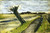 Pollard Willow By Jose Maria Velasco Pollard Willow By Jose Maria Velasco