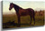 Portrait Of A Horse By Albert Bierstadt