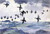 Scoters Over Water By Frank W. Benson By Frank W. Benson