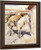 A Moorish Packhorse By Joseph Crawhall