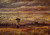 The Beach At Scheveningen1 By Jose Maria Velasco The Beach At Scheveningen1 By Jose Maria Velasco