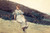 The Garden Wall By Winslow Homer The Garden Wall By Winslow Homer