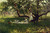 The Old Apple Tree By Julian Onderdonk By Julian Onderdonk