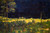 Wayside Crucifix By Thomas Edwin Mostyn
