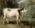 A Cow In A Landscape By Constant Troyon