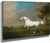 A Grey Horse1 By George Stubbs