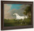 A Grey Horse1 By George Stubbs