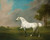 A Grey Horse1 By George Stubbs