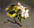 Apple Blossoms4 By Martin Johnson Heade