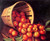 Apples Tumbling From A Basket By Levi Wells Prentice By Levi Wells Prentice