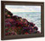 At The Seaside By Armand Guillaumin At The Seaside By Armand Guillaumin