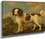 Brown And White Norfolk Or Water Spaniel By George Stubbs