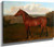 Colt Of Mare And Arab Horse By Jacques Laurent Agasse By Jacques Laurent Agasse Colt Of Mare And Arab Horse By Jacques Laurent Agasse By Jacques Laurent Agasse