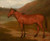 Foal Of Mare And Quagga By Jacques Laurent Agasse By Jacques Laurent Agasse