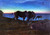 Grazing By The Shore By Nils Kreuger Grazing By The Shore By Nils Kreuger