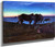 Grazing By The Shore By Nils Kreuger Grazing By The Shore By Nils Kreuger