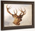 Head Of A Stag (Three Quarter Profile) By Richard Ansdell(English, 1815 1885)