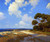 Hill Country Lane By Julian Onderdonk By Julian Onderdonk Hill Country Lane By Julian Onderdonk By Julian Onderdonk