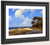 Hill Country Lane By Julian Onderdonk By Julian Onderdonk Hill Country Lane By Julian Onderdonk By Julian Onderdonk