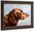 Irish Setter By Carl Reichert Irish Setter By Carl Reichert