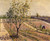 Kitchen Garden, Petit Gennevilliers By Gustave Caillebotte By Gustave Caillebotte