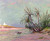 L'oued D'oueld Djellal, Sahara By Maxime Maufra By Maxime Maufra