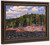 Lakeside, Spring, Algonquin Park By Tom Thomson