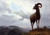 Long Horned Sheep By Albert Bierstadt By Albert Bierstadt Long Horned Sheep By Albert Bierstadt By Albert Bierstadt