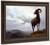Long Horned Sheep By Albert Bierstadt By Albert Bierstadt Long Horned Sheep By Albert Bierstadt By Albert Bierstadt