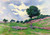 Mereville, A Flock Of Sheep By Maximilien Luce By Maximilien Luce
