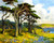 Monterey Shore In Springtime By Franz Bischoff By Franz Bischoff