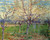 Orchard With Blossoming Apricot Trees By Jose Maria Velasco