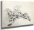 Plant Study, Cold Spring, New York 22 By William Trost Richards By William Trost Richards