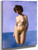 Bather In Frontal View By Felix Vallotton
