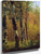 Birch Trees By Thomas Worthington Whittredge