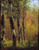 Birch Trees By Thomas Worthington Whittredge