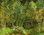 The Grove By Jose Maria Velasco The Grove By Jose Maria Velasco