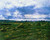 Wheat Fields With Stacks By Jose Maria Velasco