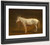 White Mule By Jacques Laurent Agasse By Jacques Laurent Agasse