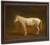 White Mule By Jacques Laurent Agasse By Jacques Laurent Agasse