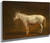 White Mule By Jacques Laurent Agasse By Jacques Laurent Agasse