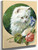 Cat And Rose By Carl Reichert Cat And Rose By Carl Reichert