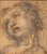Study For The Head Of Cupid By Francesco Albani By Francesco Albani