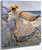 Summer Sunlight By Frederick Childe Hassam By Frederick Childe Hassam