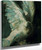 The Dove By Ignacio Pinazo Camarlench By Ignacio Pinazo Camarlench