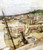 The Port Of Honfleur By Edouard Vuillard
