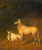 Two White Antelopes By Jacques Laurent Agasse By Jacques Laurent Agasse