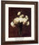 White Carnations By Henri Fantin Latour By Henri Fantin Latour