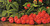Raspberries By Levi Wells Prentice By Levi Wells Prentice